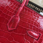 Hermes Birkin 25 Crocodile leather Red